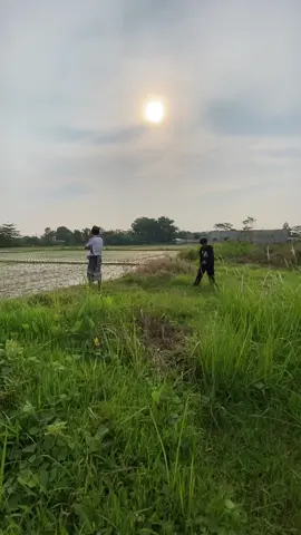 Bro, jual tanah gak cukup pake papan tulis di depan pagar 😏 Upload aja ke  MasukSini.com  Yang lewat bisa ribuan orang — bukan cuma tetangga sebelah 😆