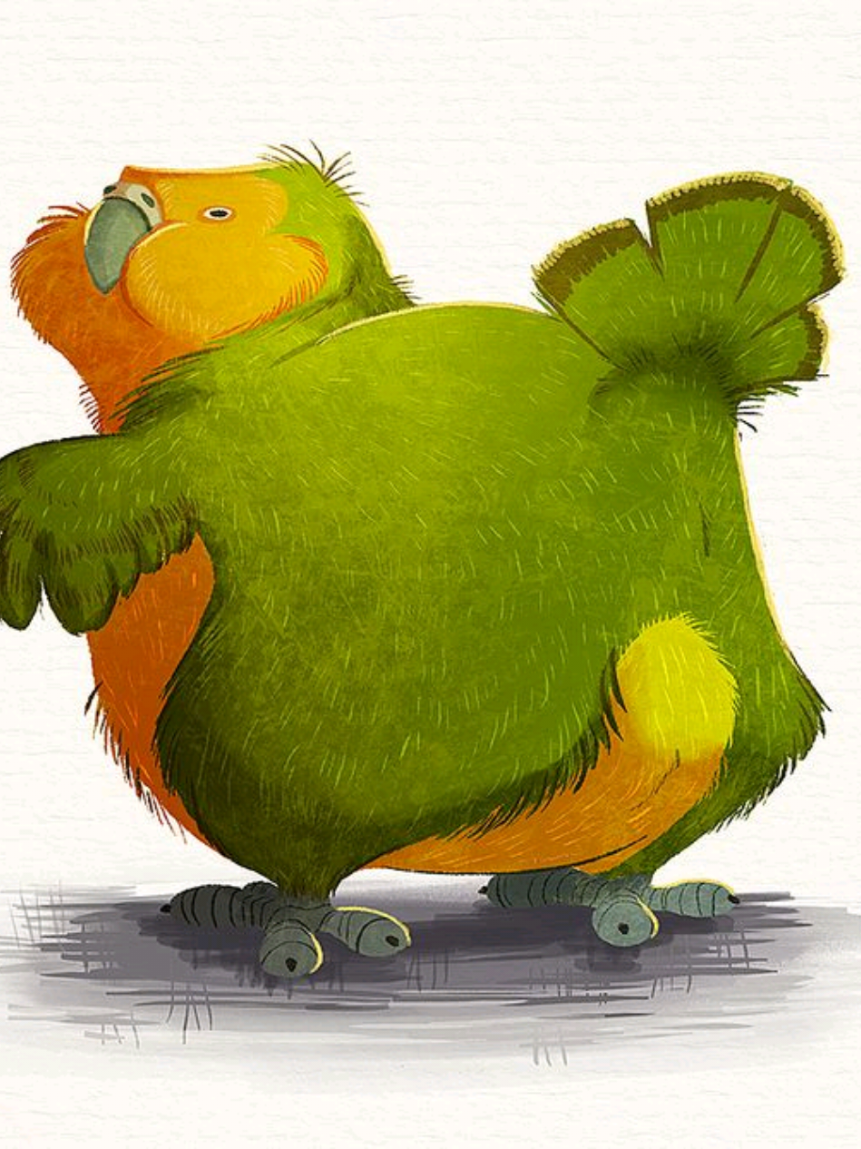 хотя, не совсем факт, не стоит опираться на эту информацию #kakapo #какапо #bird #birds 