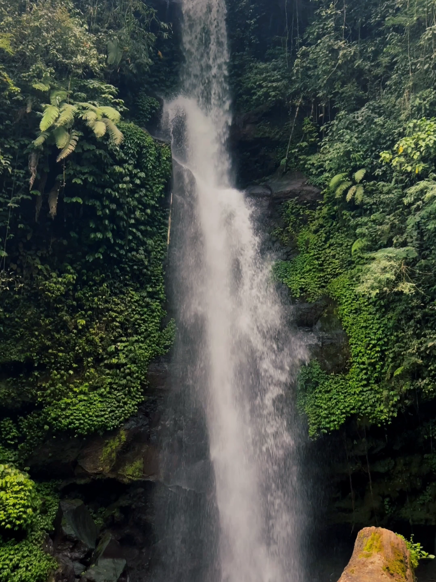 chasing waterfalls: the ultimate nature escape  #waterfall #waterfalls #natureescape 