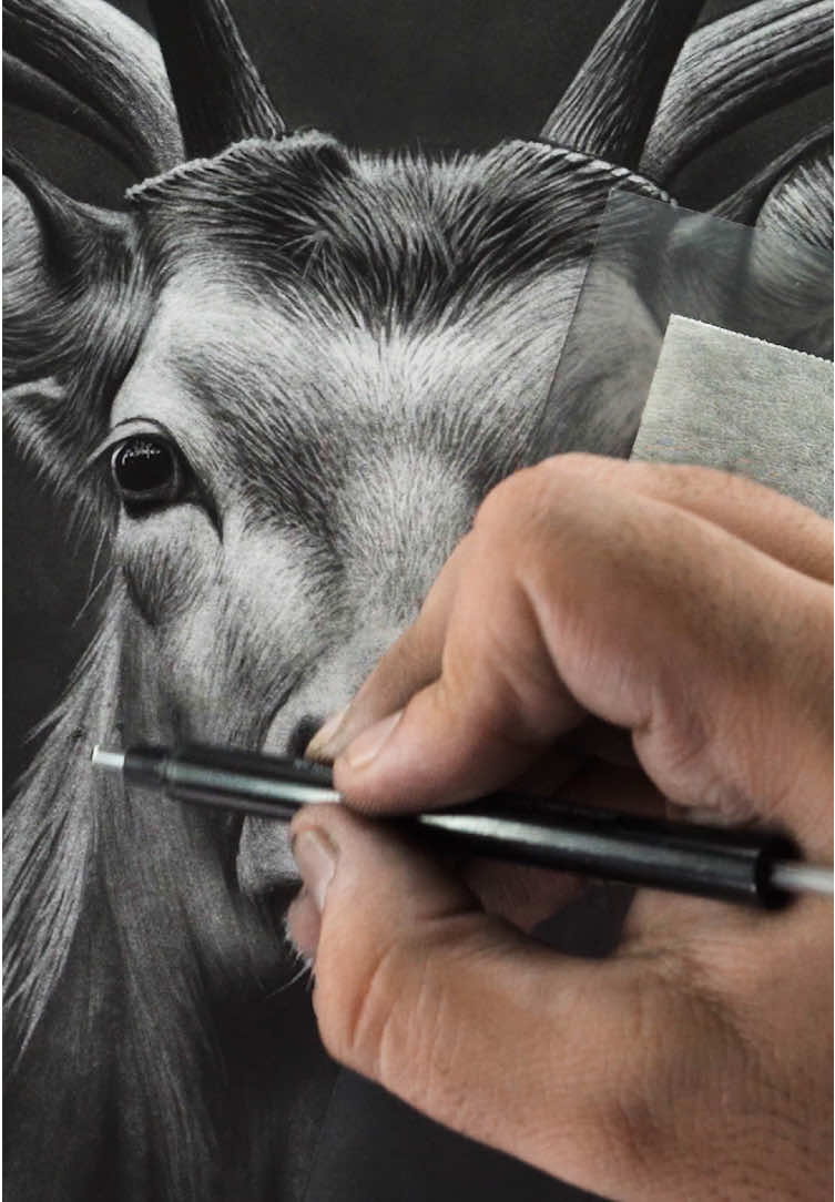 Every stroke on beat🎶 Tags: #drawingtimelapse #arttok #pencildrawing #realismart #graphiteart           