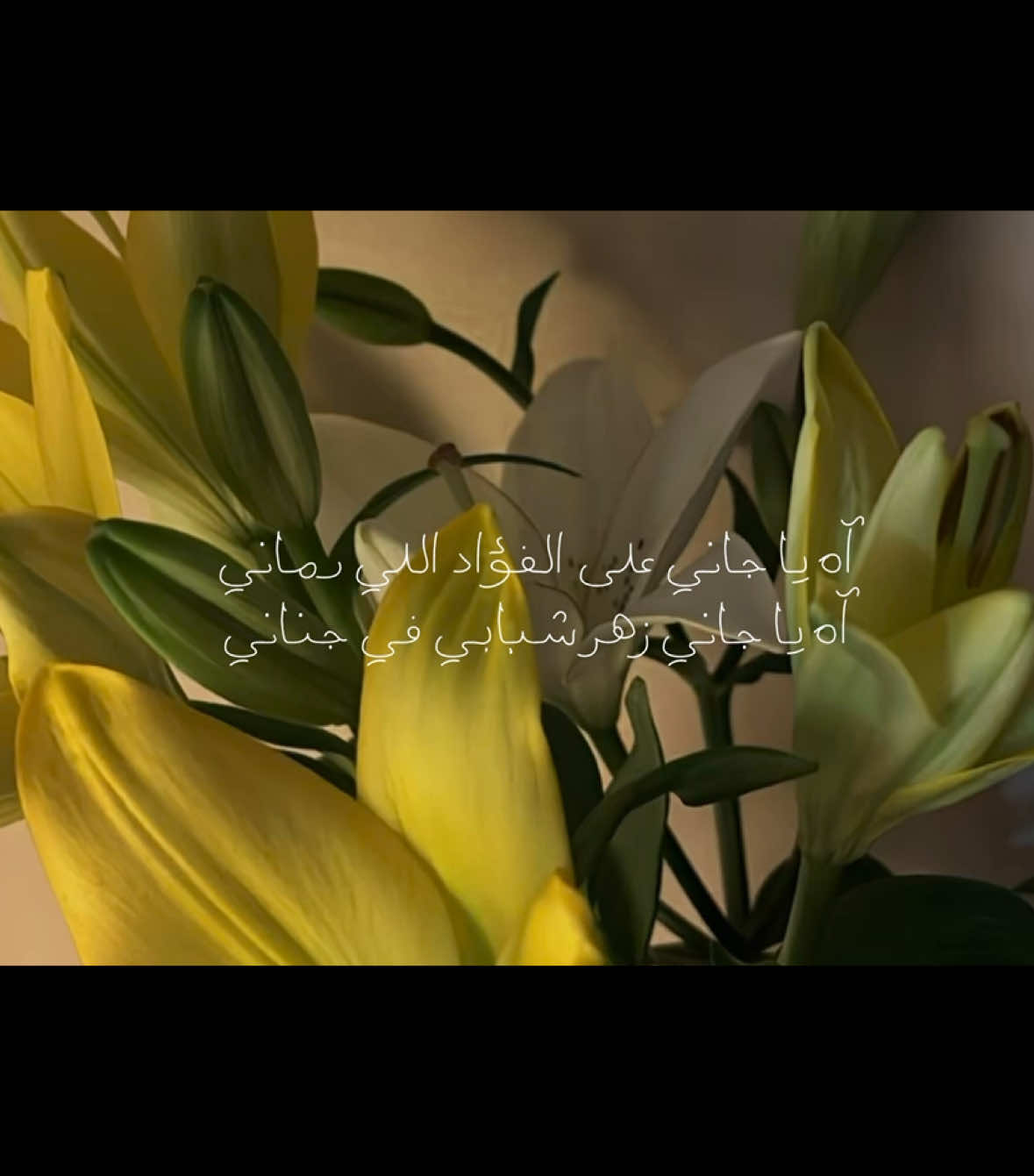 #عبدالرحمن_محمد #4u 