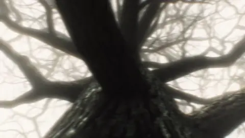 I just wanna be loved #fyp #kizumonogatari 