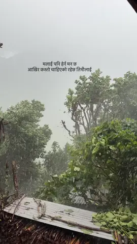 मलाई पनि हेर्न मन छ आखिर कस्तो चाहिएको रहेछ तिमीलाई #nepaliquotes #nepalilines #foryou #fypシ゚ 