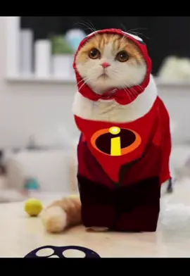 Barbarian - Juice Wrld #cat #999 #juicewrld999 