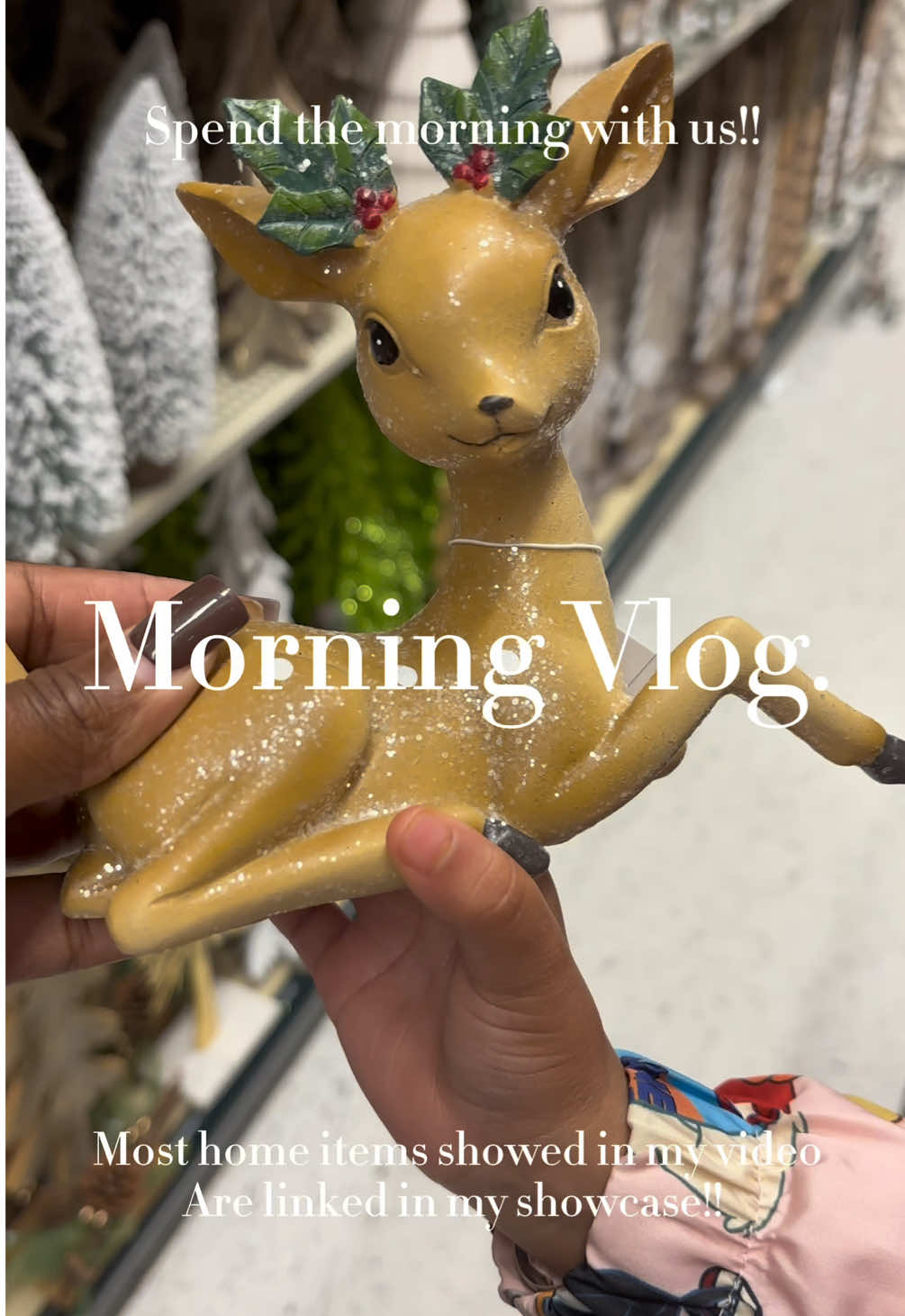 Where’s your favorite place to shop for Christmas home decor? 🎄 Koko woke up not feeling too good today, so they’re coming along while I do a little holiday shopping! 💕 #fyp #christmas #christmasdecor #christmasshopping #morningroutine 