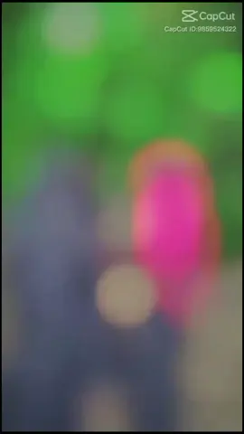 সালন্দর উচ্চ বিদ্যালয় চ্যাম্পিয়ান