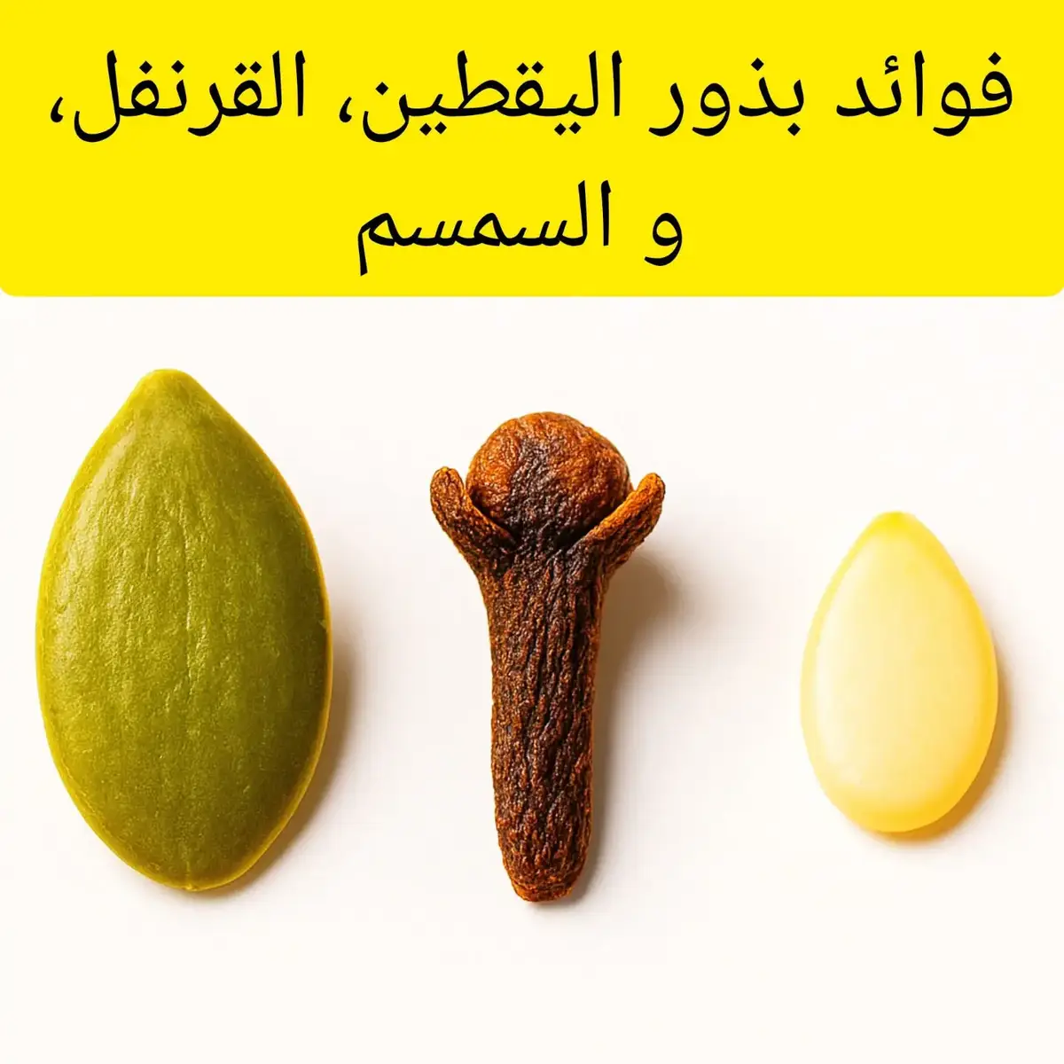 #فوائد بذور اليقطين، القرنفل، و السمسم 🟢 1. بذور اليقطين 1- تدعم جودة النوم لاحتوائها على التربتوفان والمغنيسيوم. 2- توازن هرمونات الجسم لدى الرجال والنساء طبيعيًا. 3- تحافظ على صحة البروستاتا والمثانة. 4- تعزز مناعة الجسم بفضل الزنك والمضادات الحيوية الطبيعية. 🟤 2. القرنفل 1- ينشّط الدورة الدموية ويحافظ على صحة القلب. 2- يخفّف التوتر ويمنح الجسم طاقة خفيفة طبيعية. 3- يحارب البكتيريا التي تسبب رائحة الفم. 4- يعزّز الذاكرة والتركيز عند مضغه صباحًا. ⚪ 3. السمسم 1- يمد الجسم بالكالسيوم الذي يحافظ على صحة العظام والمفاصل. 2- يساعد على توازن السكر في الدم. 3- يغذّي الجلد ويقلّل جفاف البشرة. 4- يحتوي على مضادات أكسدة تبطئ الشيخوخة وتحافظ على نضارة البشرة.#لايك__explore___ #