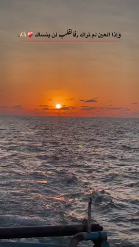 #واذا_العين_لم_تراك_فالقلب_لن_ينساك❤️‍🩹🫶🏻#fffffffffffyyyyyyyyyyypppppppppppp #تصويري_احترافي_الاجواء👌🏻🕊😴 #عبارتكم_الفخمه📌📿 #اكسبلوررررررر 