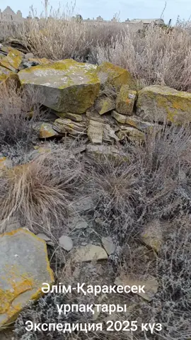 Экспедиция 2025 күз айы. Қаракесек ұрпақтары.  #тарих#кішіжүз#әлім#қаракесек#қазақ 