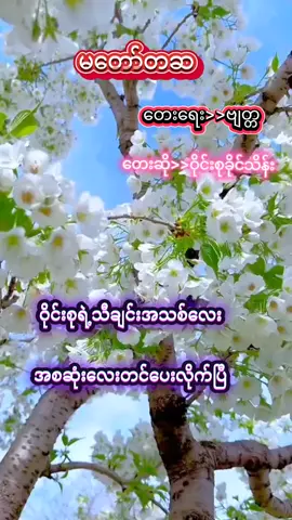 #မတော်တဆ #မြန်မာသံစဥ်များကိုချစ်မြတ်နိုးသူ #ရောက်စမ်းfypပေါ် #fpyシ 