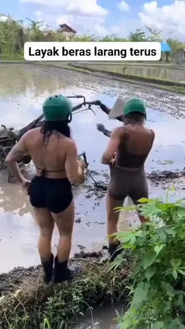 petani muda wanita viral #petani #petanimuda #petaniindonesia🇮🇩🇮🇩🇮🇩🌿🌿 #petanimilenial #fyp 