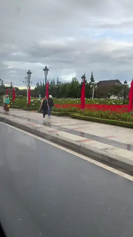 Đà Lạt ngày 1,ăn gì chơi gì nè #mecooldaily #diemchau #mẹcool #food #tiktokgiaitri 