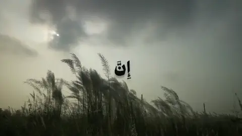 #قران_كريم #اللهم_صلي_على_نبينا_محمد #استغفرالله_واتوب_اليه_من_كل_ذنب_عظيم #لاحول_ولا_قوة_الا_بالله_العلي_العظيم #fypシ゚ 