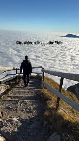 Die wohl schönste Treppe der Welt: Wer hätte gedacht, dass eine Treppe auf rund 2’100 M.ü.M. so wunderschön sein kann?? 😍  Viele verschiedene Wege führen auf den Pilatus - je nachdem, was ihr bevorzugt und wie fit ihr seid: Für die gemütlichen: Gondelbahn ab Kriens oder Zahnradbahn ab Alpnach. Für die sportlichen: es gibt tolle Wanderwege ab Alpnach, Kriens oder dem Eigenthal. Für die ganz sportlichen (und tatsächlich mein Favorit): die Wanderung ab Gfellen, welche über die ganze Pilatuskette führt, hoch zum Pilatus. Ein langer, anstrengender Weg mit aber vielen, imposanten Aussichten! Wart ihr schon auf dem Pilatus & was ist eure Lieblings-Route?🥰