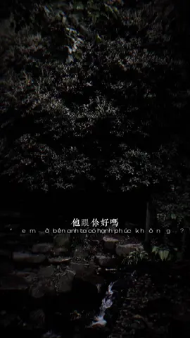 過去的影子已經改變，請不要從那些漸漸消逝的過去的故事中期待未來 “Bóng dáng năm xưa đã khác, xin đừng lác đác trông chờ tương lai ở những câu chuyện của quá khứ tàn phai..”#anhduc07 #fyp #viral 