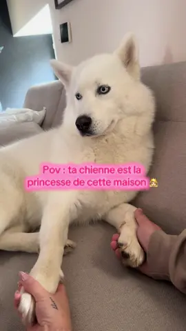 Princesse 💫 #princesstreatment #dogsoftiktokviral #fypdong 