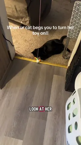 Get your cats one so they can beg you to turn it on. It’s the best thing ever this interactive cat toy is amazing. #PetsOfTikTok #cattok #catlover #cat #catsoftiktok 
