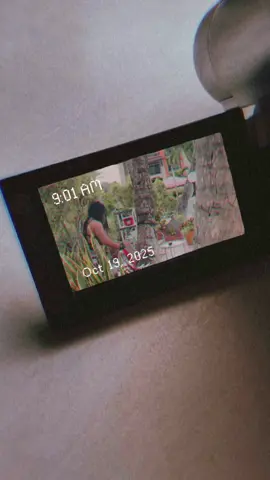 Pole dancer …. Tree climber same thing 🤣🙌🏽🫶🏾🌴