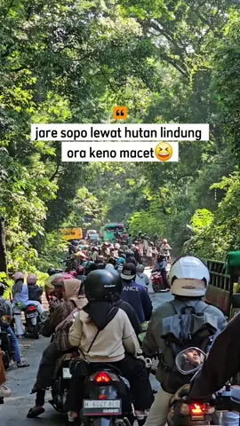 Hanya hiburan ya bolo😆,Sebenernya gak macet, hanya buka tutup jalur,  - Tapi pas di suruh nunggu di barisannya admin ngrekam, udah di kasih tau, suruh nunggu yang dari lawan arah jalan dulu, tapi ada yang nyerobot maju, nah belakangnya ikutan maju semua🤣 akhirnya pada puter balik tuh🤣 Admin diem ngrekam aja🤣 - #kendal #explorekendal 