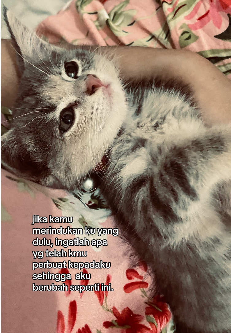 #fyp #foryou #xyzbcaa #4u