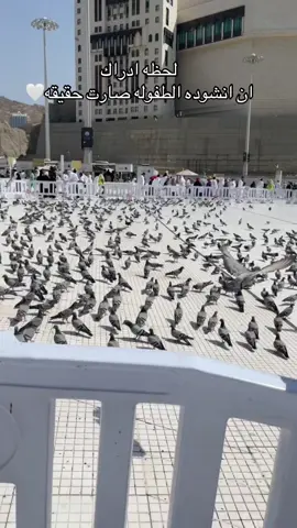 🥹♥️♥️ #مكة_المكرمة #حمام_الحرم_المكي_الشريف🕌🕋🕊🕊🕊🕊🕊  #explore 