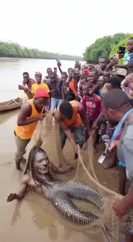 La sirène relâcher à ete capturée au Congo Kinshasa #242 #congobrazzaville #sora2 #ia #kinshasa🇨🇩 