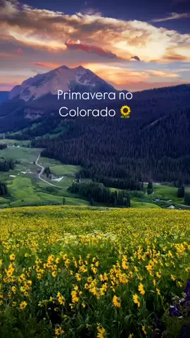 Aaah Colorado 😍🇺🇸 🇺🇸 Encante-se com as paisagens mais incríveis dos Estados Unidos! Sou um brasileiro apaixonado pelos EUA, e aqui compartilho vídeos inspiradores direto da terra do Tio Sam. Alguns conteúdos são referências e inspirações – caso necessário, entre em contato via DM para questões de direitos autorais, crédito e remoção do vídeo Aperte o play e viaje comigo nessa jornada americana!  #EUA #USA #EstadosUnidos #BrasileirosNosEUA #VidaNosEUA                         