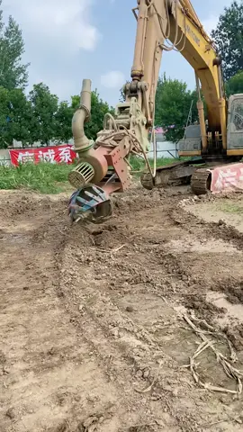 How to empty a swamp