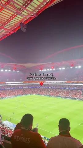 O meu amor @SLBenfica ❤️ #fyp #fyyy #slbenfica #slb #futebol 