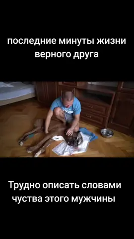 #друг 