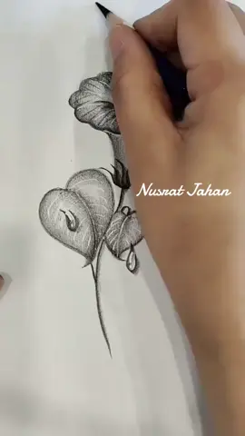 আত্তাহিয়াতু কত সুন্দর অর্থ বহন করে  #allah  #creatorsearchinsights #allflwors #furyou #frinds 