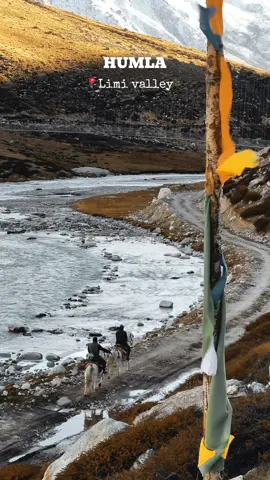 Humla-Limi valley. #fyp #humla #trekking #travel #limivalley 