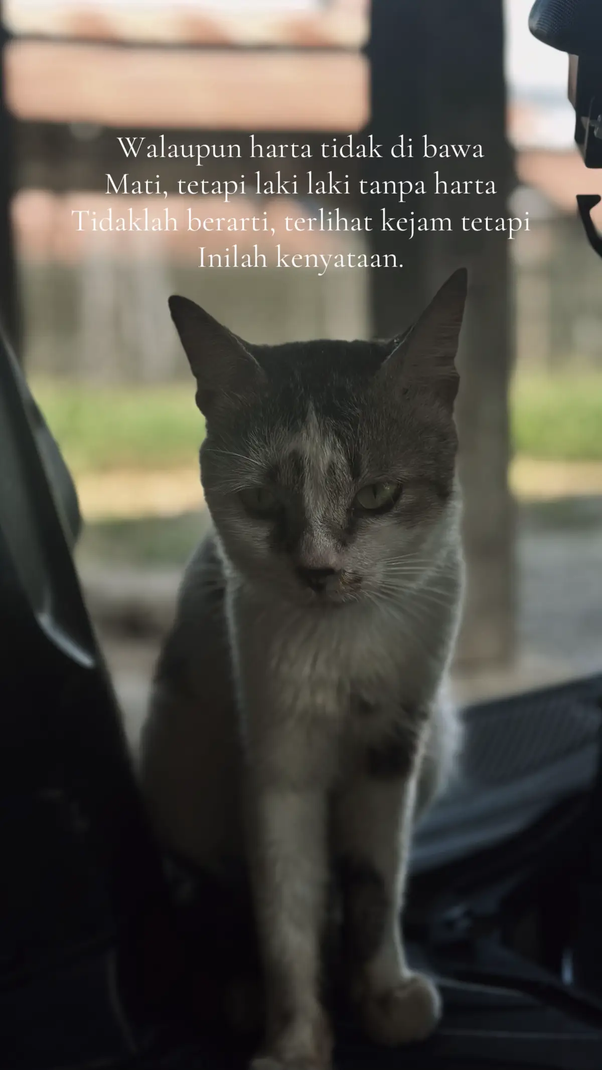 #fyppppppppppppppppppppppp #fypdonggggggg #katakata 