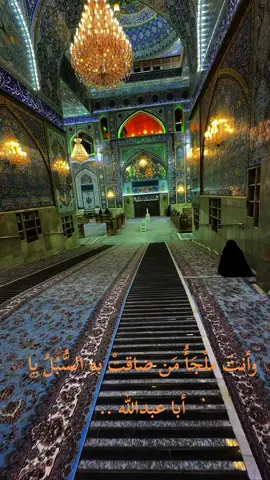 #كربلاء #العراق #اكسبلور 