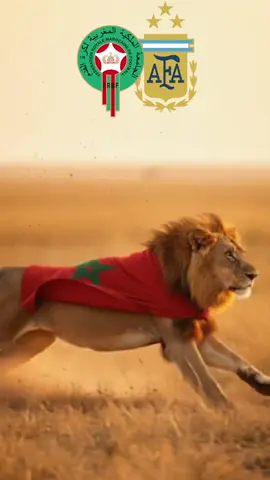 maroc vs argentin #dimamaghrib #maroc #marruecos #morroco #viral 