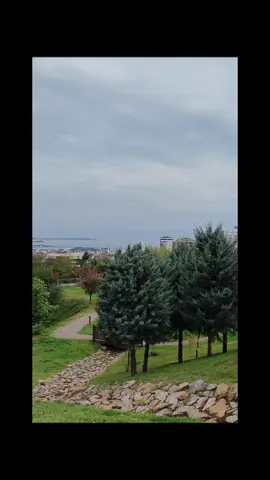 #keşfet #trending #tree 