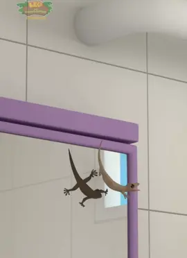 #ThangNgot #Caidautien #truockhiemtontai 