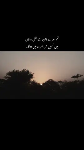 ##viwesproblem #urdupoetry #unfreezmyaccount #fyp #viral 