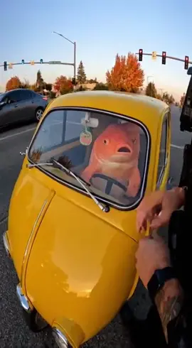 In a surprising turn of events, a fish gets pulled over at a red light by a cop. As the officer asks for license and registration, the slippery driver speeds off!