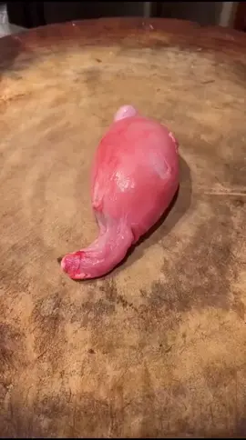 #foryoupage❤️❤️ #foryou #ti̇ktok #fyppppppppppppppppppppppp #bdtiktokofficial🇧🇩 @TikTok Bangladesh 