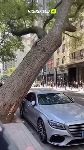 Tree crushed a parked car in the city center! Passersby caught the shocking moment when a huge tree suddenly fell and completely crushed a parked car. People nearby were in disbelief — good thing no one was inside. Nature sometimes reminds us. #cars #accident #city #carcrash #wow            
