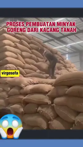 PROSES PEMBUATAN MINYAK GORENG DARI KACANG TANAH ALA INDIA