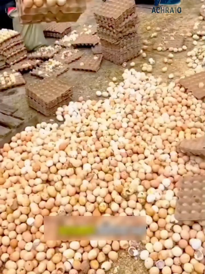 البيض الصناعي #غزة_العزة🇵🇸 #هاشتاق #اللهم_صل_على_محمد_وآل_محمد #معلومة_صحية #راحة_البال_وهدوء_النفس🥀🖤 #اللهم_انك_عفو_تحب_العفو_فاعف_عنا