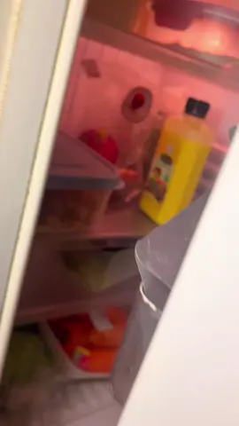 Trong hành trình đừng chứa đầy mấy đồ ăn vặt nha mấy c , tui dọn sạch 