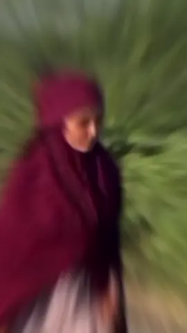 Sndkan Weno fadhisa🔥😂#Dumarland #Views 