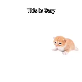 #CapCut #furryfandom #furry #boykisser 