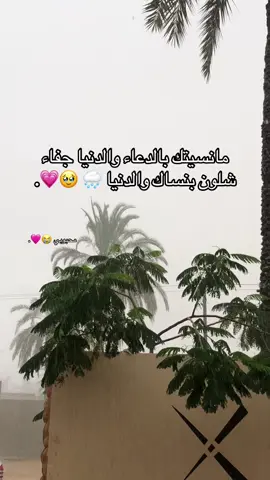 مطر ودعاء مستجاب اللهم اجبر بخاطري استجيب دعائي😭💗💗#مطر_غيوم #الجميل_العجيلات_صبراته_صرمان_الزاويه #اكسبلور 