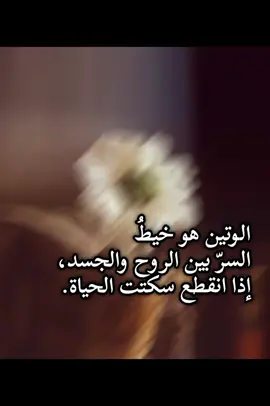 الوتين هو خيط السر بين الروح والجسد.. #creatorsearchinsights #الحياة #كلمات #الصمت #القلب 
