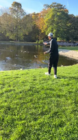 Cuối tuần vui vẻ chill chill #cuocsonhchauau #xkldslovakia #slovakia #donhangslovakia #thohantigslovakia 