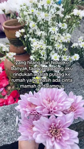 #foryou #foryoupage #fyp #xyzbca #4u 